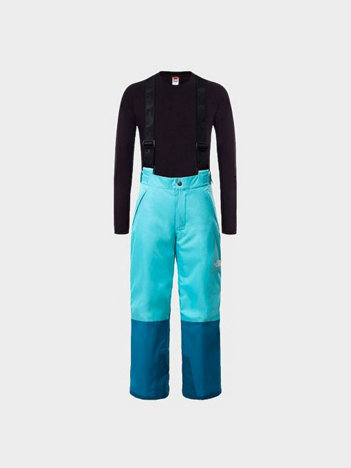 Брюки The North Face модель NF0A5G9B3XT1 Фото