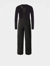 Брюки The North Face модель NF0A5G9BJK31 Фото