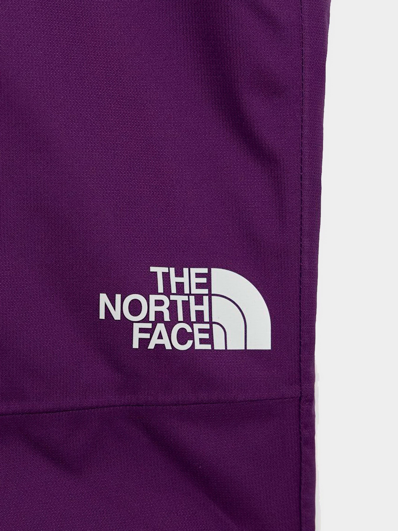 Брюки The North Face модель NF0A5G9DJC01 Брюки The North Face модель NF0A5G9DJC01 Фото