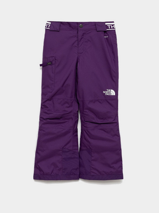 Брюки The North Face модель NF0A5G9DJC01 Фото