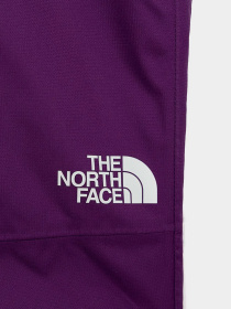 Брюки The North Face модель NF0A5G9DJC01 Фото