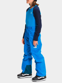 Брюки The North Face модель NF0A5G9ZT4S1 Фото