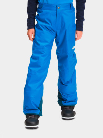 Брюки The North Face модель NF0A5G9ZT4S1 Фото