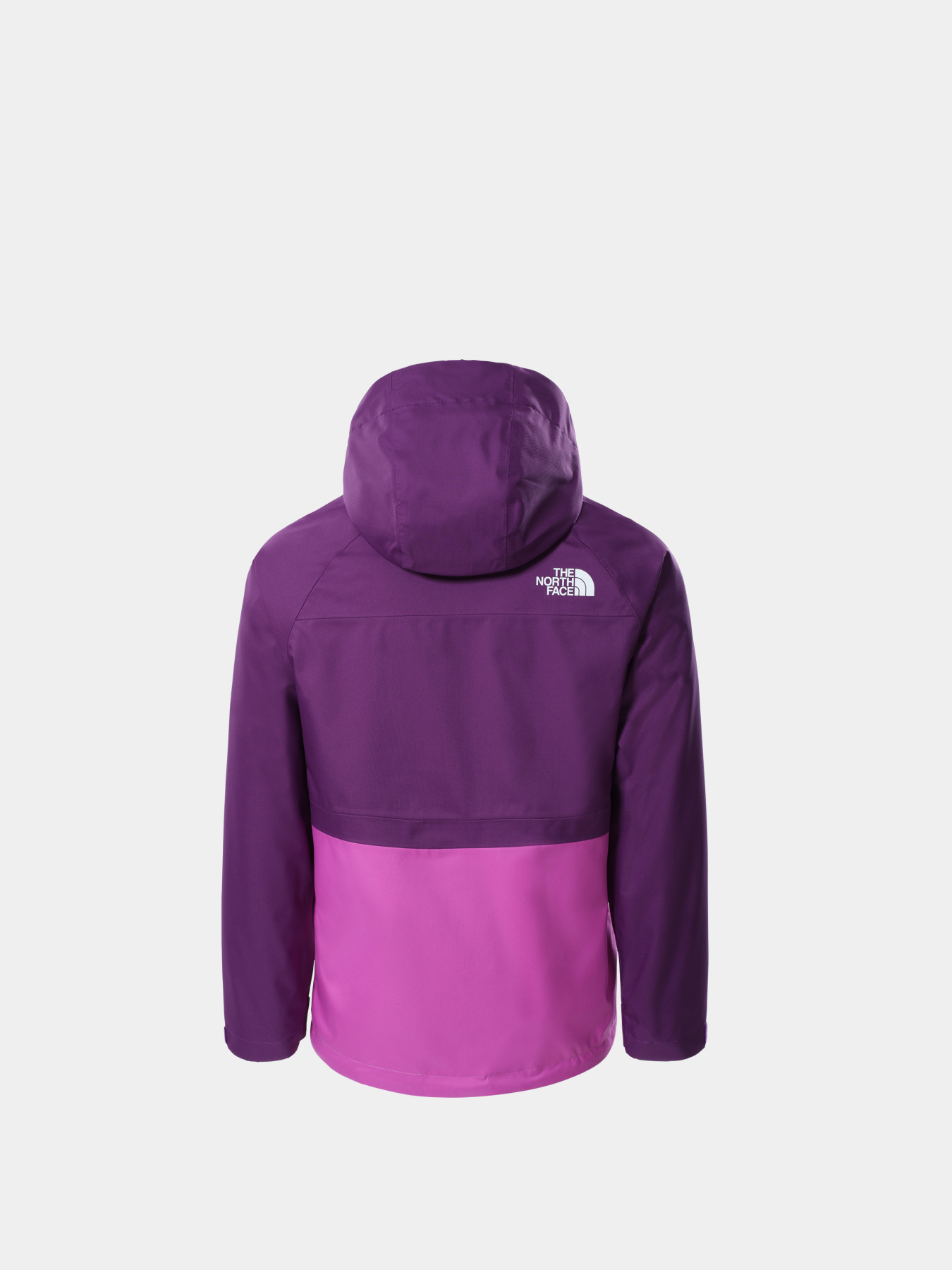 Куртки и дубленки The North Face модель NF0A5GCJJC01 Фото