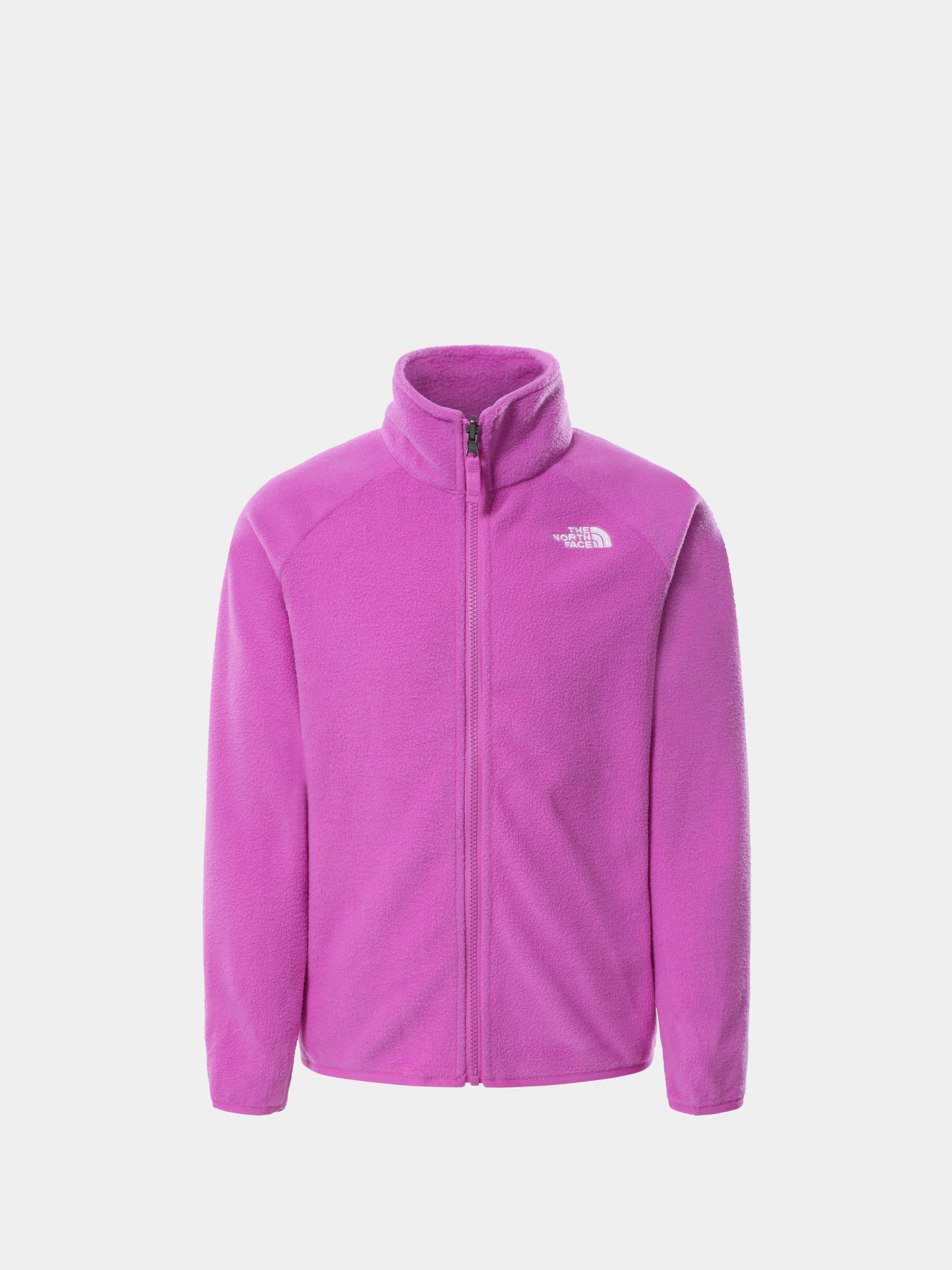 Куртки и дубленки The North Face модель NF0A5GCJJC01 Фото
