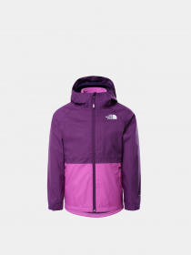Куртки и дубленки The North Face модель NF0A5GCJJC01 Фото