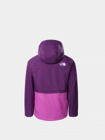 Куртки и дубленки The North Face модель NF0A5GCJJC01 Фото