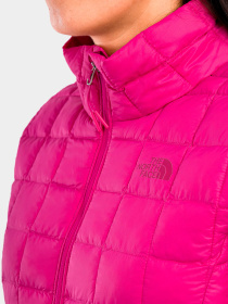 Куртки и дубленки The North Face модель NF0A5GLD1461 Фото