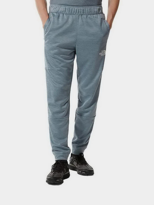 Брюки The North Face модель NF0A5IET5W51 Фото