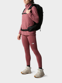 Худи и свитшоты The North Face модель NF0A5IHO6R41 Фото