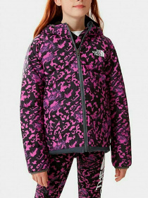 Куртки и дубленки The North Face модель NF0A5IYK3C51 Фото