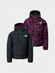 Куртки и дубленки The North Face модель NF0A5IYK3C51 Фото