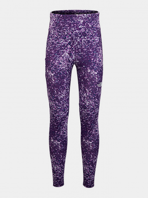 Брюки The North Face модель NF0A5IYO2H81 Фото