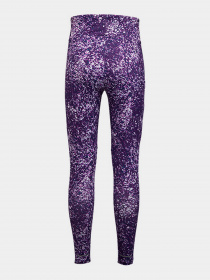 Брюки The North Face модель NF0A5IYO2H81 Фото