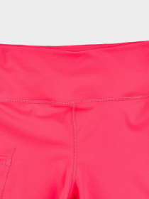 Шорты The North Face модель NF0A5J7R3971 Фото