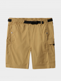 Шорты The North Face модель NF0A7Q9SZSF1 Фото