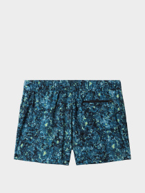 Шорты The North Face модель NF0A7QLS5401 Фото