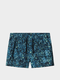 Шорты The North Face модель NF0A7QLS5401 Фото