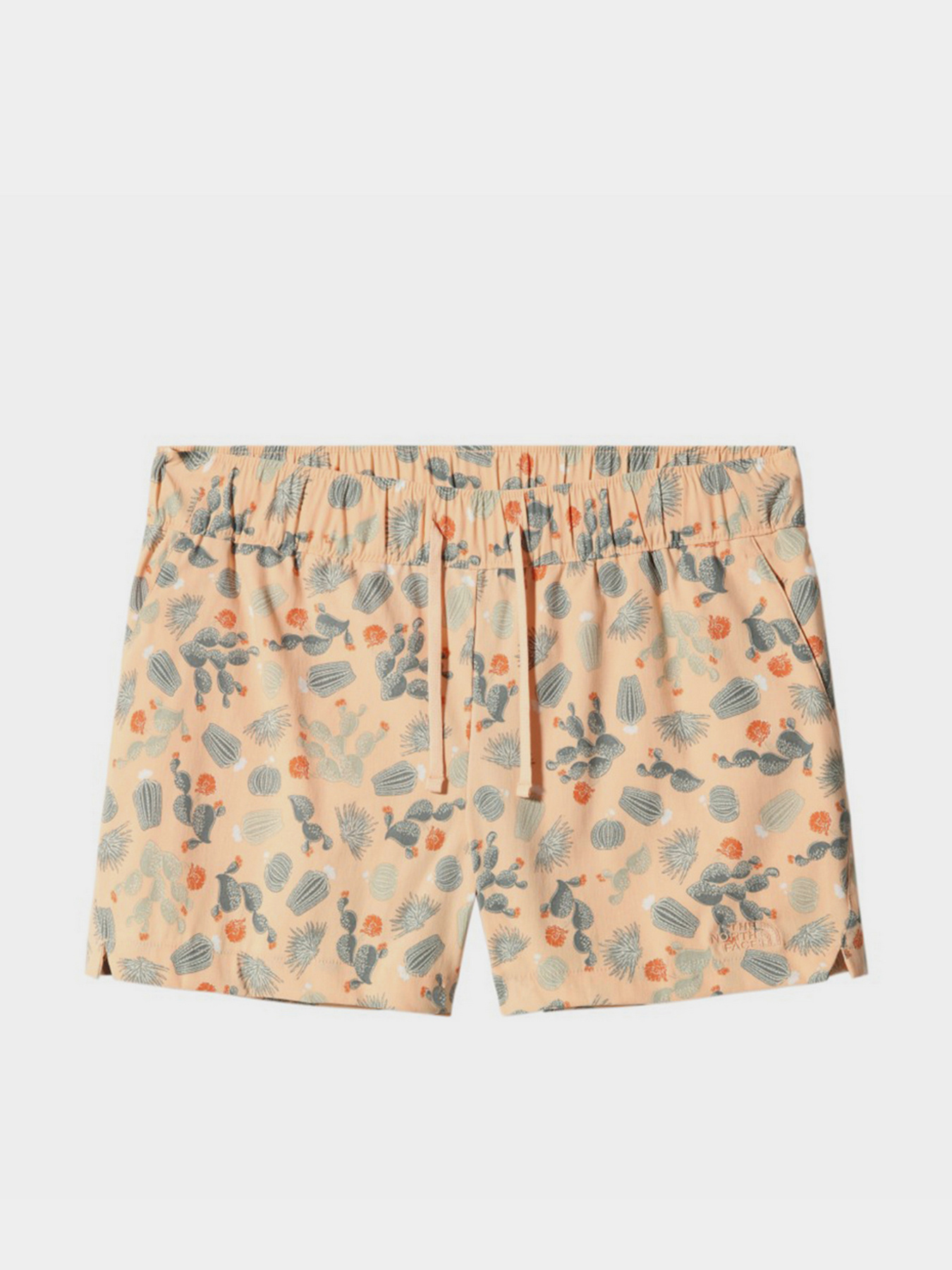 Шорты The North Face модель NF0A7QLS5M11 Фото