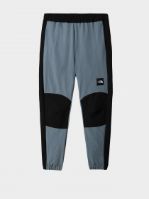 Брюки The North Face модель NF0A7R2HA9L1 Фото