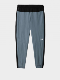 Брюки The North Face модель NF0A7R2HA9L1 Фото