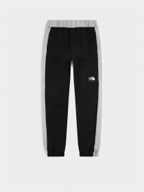 Брюки The North Face модель NF0A7R2HJK31 Фото
