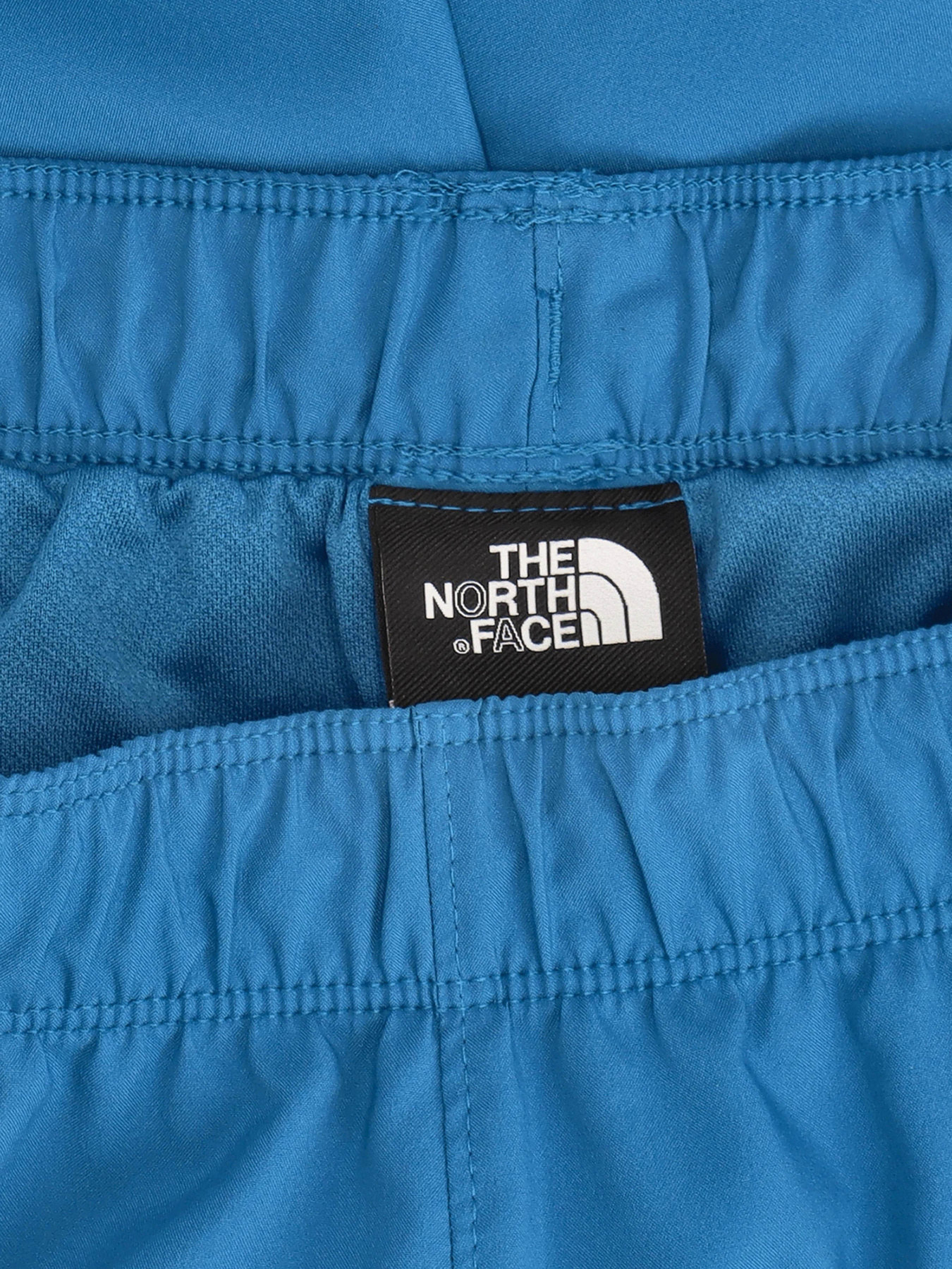 Шорты The North Face модель NF0A7UIKM191 Фото