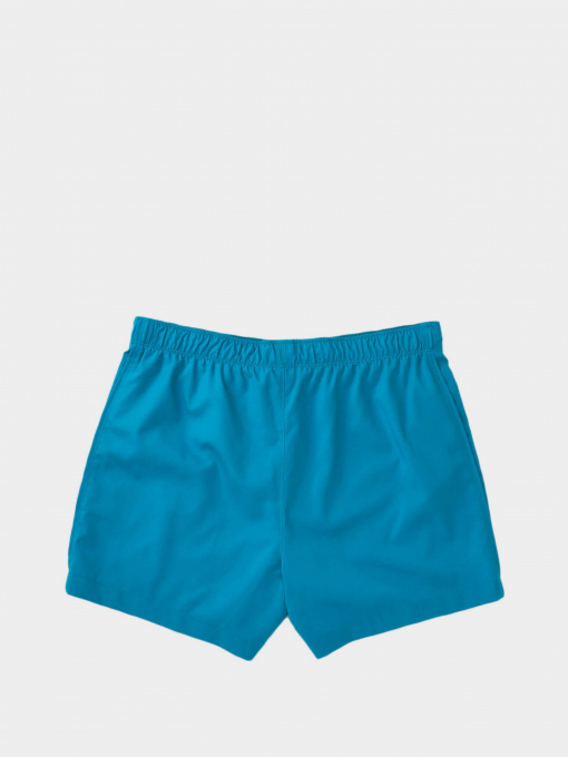 Шорты The North Face модель NF0A7UIKM191 Фото