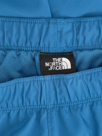 Шорты The North Face модель NF0A7UIKM191 Фото