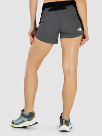 Шорты The North Face модель NF0A7WZRF9L1 Фото
