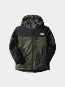 Куртки и дубленки The North Face модель NF0A7X3O21L1 Фото