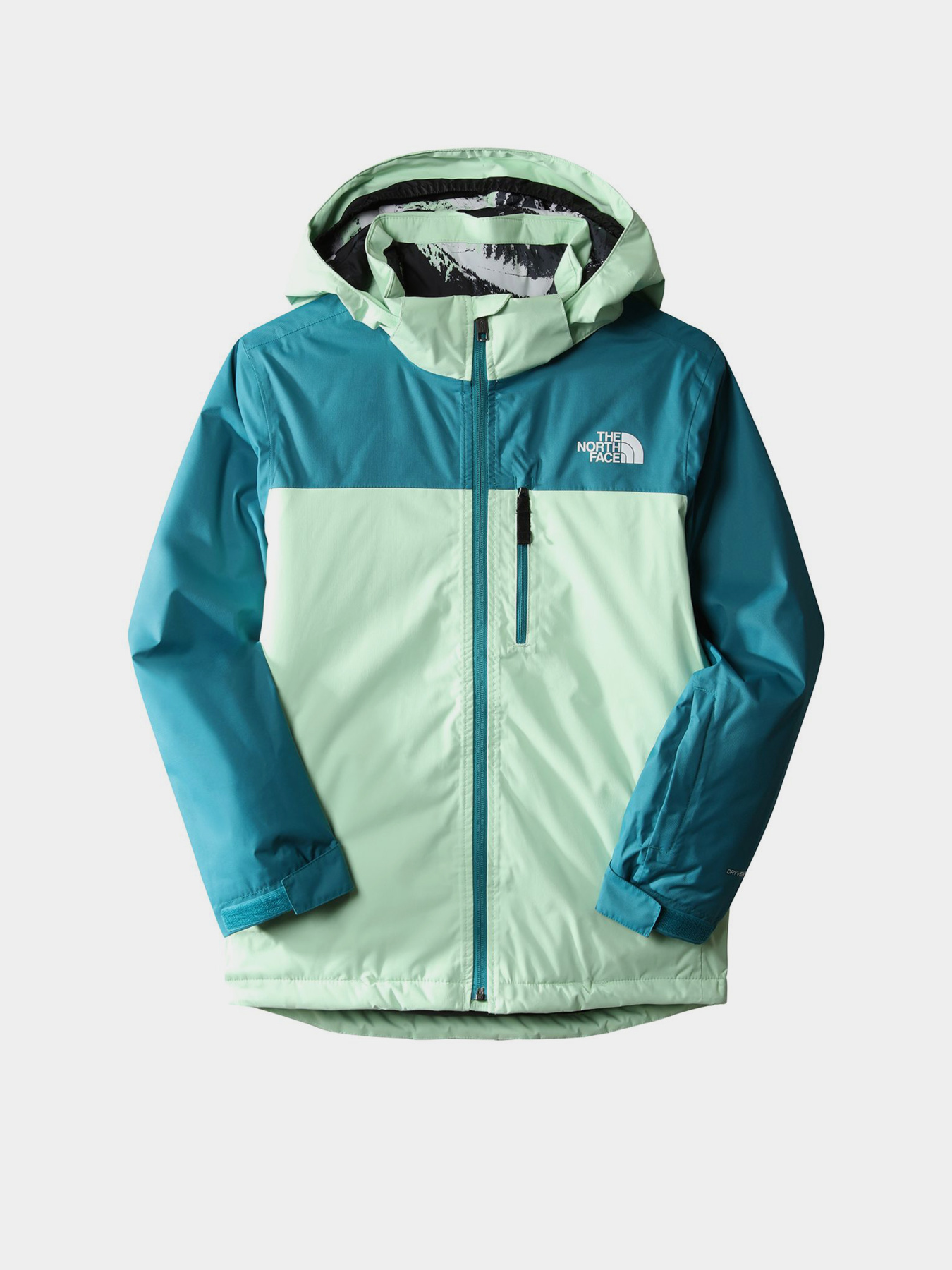 Куртки и дубленки The North Face модель NF0A7X3O6S01 Куртки и дубленки The North Face модель NF0A7X3O6S01 Фото