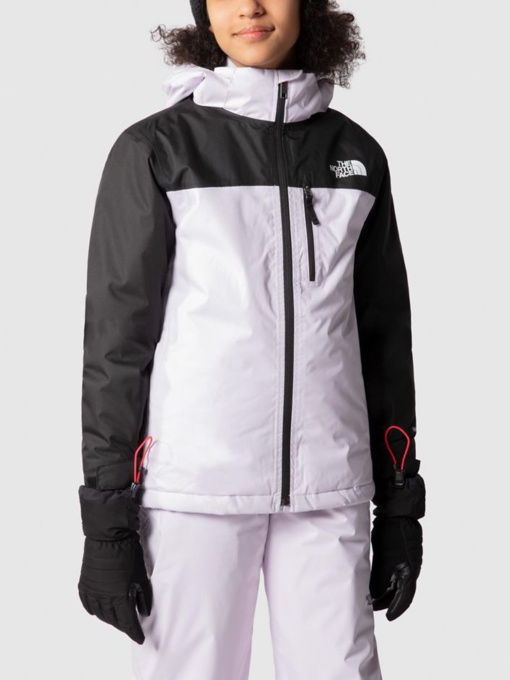 Куртки и дубленки The North Face модель NF0A7X3O6S11 Фото