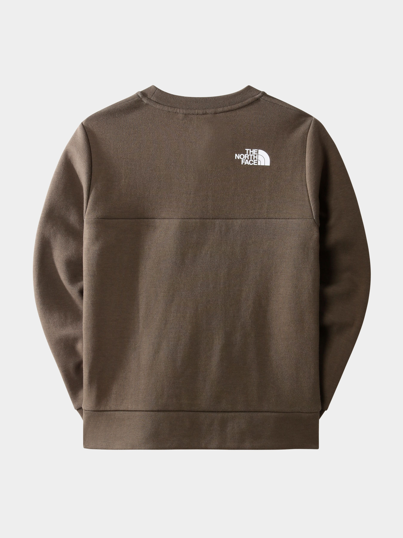 Худи и свитшоты The North Face модель NF0A7X3T21L1 Фото