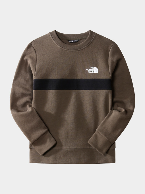Худи и свитшоты The North Face модель NF0A7X3T21L1 Фото