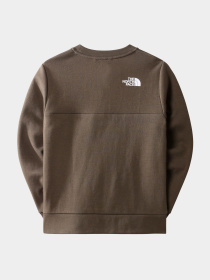 Худи и свитшоты The North Face модель NF0A7X3T21L1 Фото