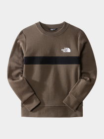 Худи и свитшоты The North Face модель NF0A7X3T21L1 Фото