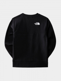 Спортивная одежда The North Face модель NF0A7X3TJK31 Фото