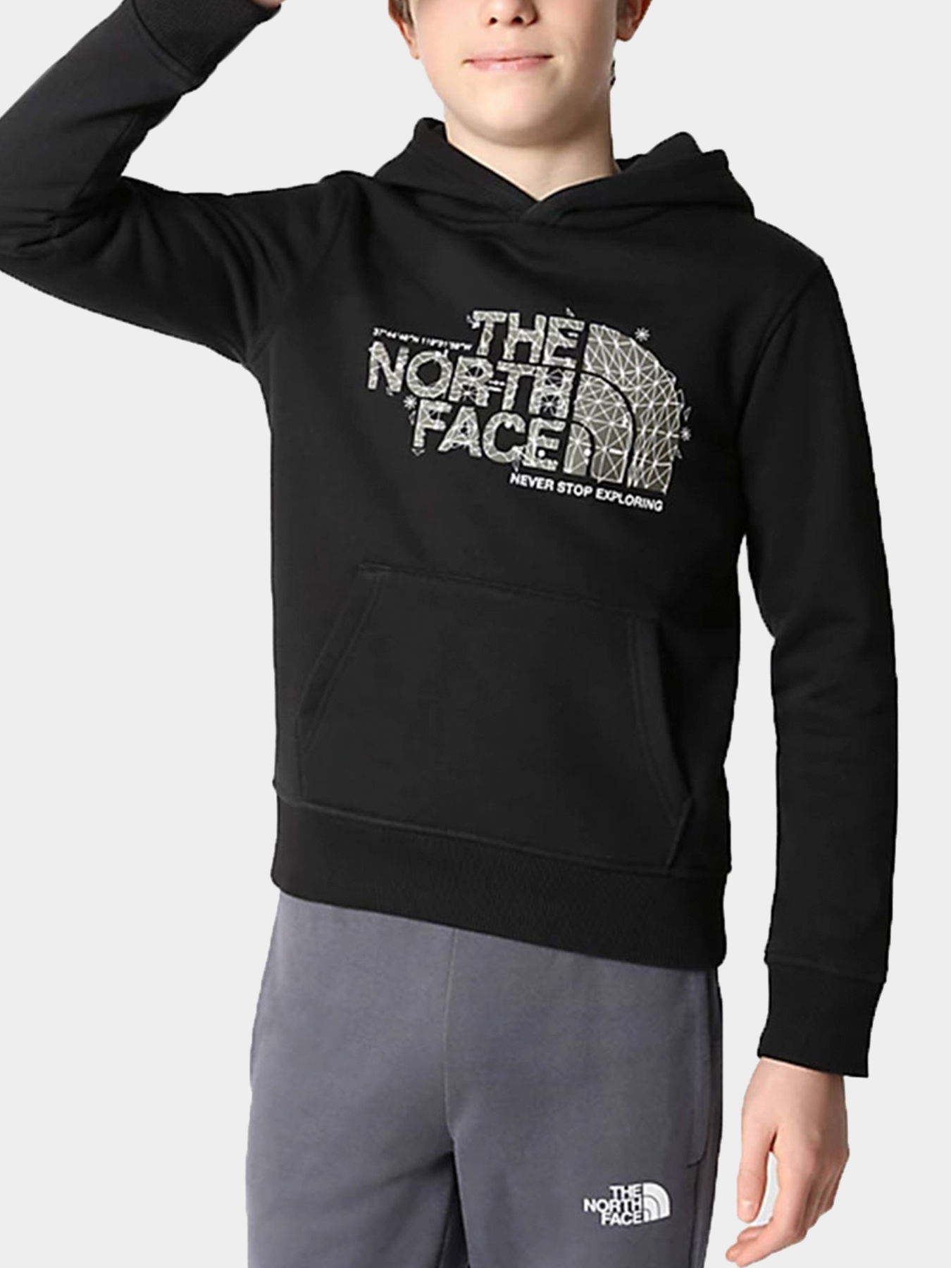 Худи и свитшоты The North Face модель NF0A7X55JK31 Фото