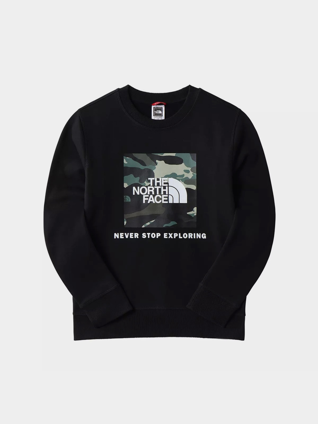 Худи и свитшоты The North Face модель NF0A7X59JK31 Фото
