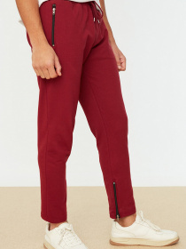 Брюки Trendyol модель TMNSS20EA0041/Bordo Фото