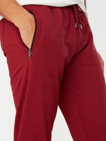 Брюки Trendyol модель TMNSS20EA0041/Bordo Фото