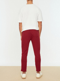 Брюки Trendyol модель TMNSS20EA0041/Bordo Фото