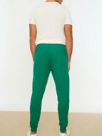 Брюки Trendyol модель TMNSS20EA0053/Yesil Фото