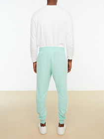 Брюки Trendyol модель TMNSS20EA0074/Mint Фото