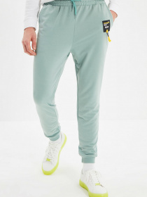 Брюки Trendyol модель TMNSS21EA0128/Mint Фото