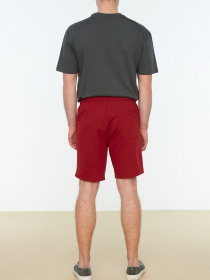 Шорты Trendyol модель TMNSS21SR0312/Bordo Фото