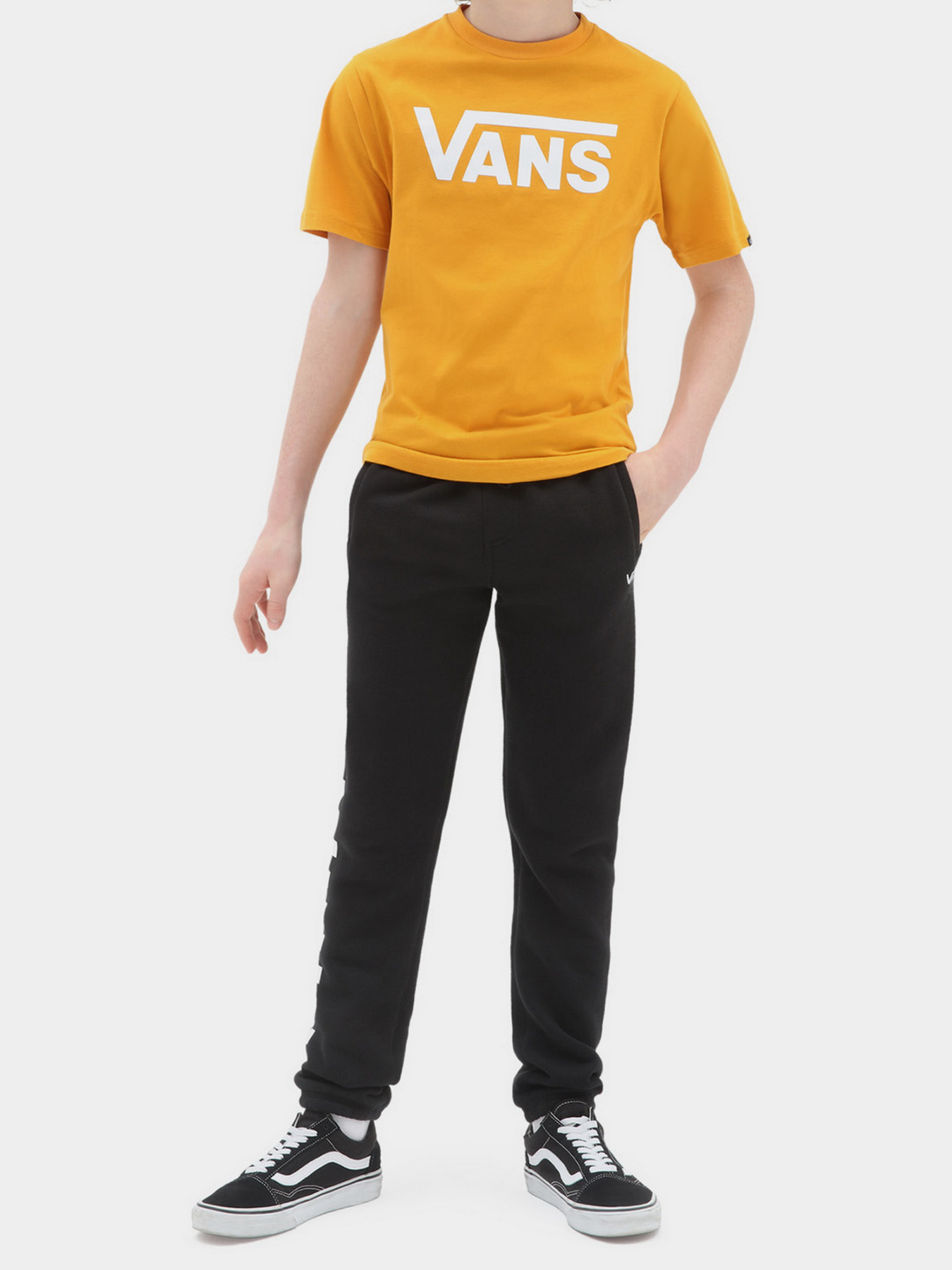 Футболки и поло Vans модель VN000IVFF3X1 Фото