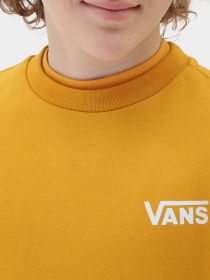 Худи и свитшоты Vans модель VN0A3HWCF3X1 Фото