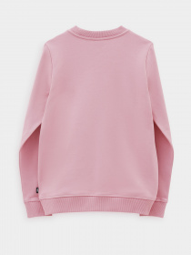 Худи и свитшоты Vans модель VN0A4S97BD51 Фото
